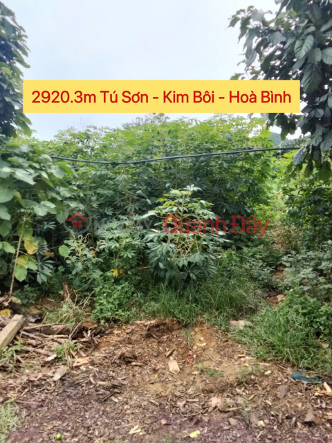 OWNER SELLS BEAUTIFUL LAND LOT OF 2920.3M IN TU SON-KIM BOI HOA BINH _0