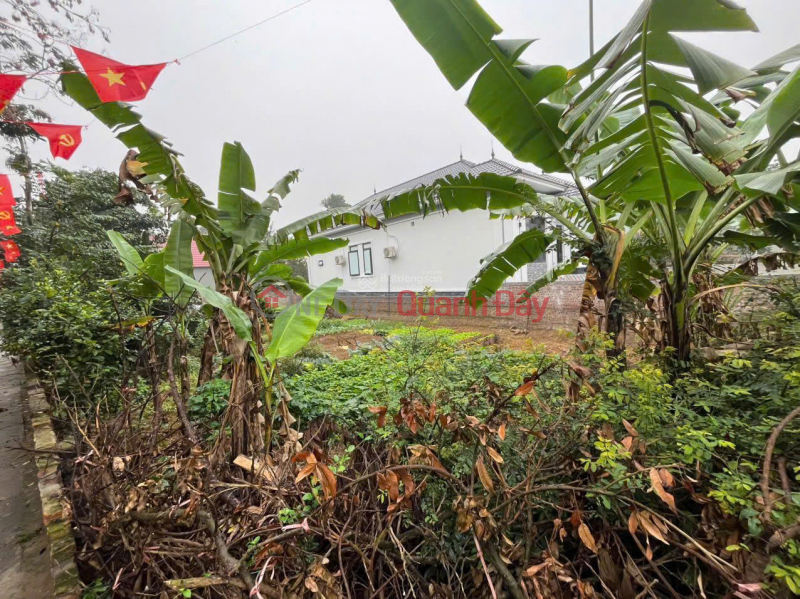 CẦN TIỀN BÁN GẤP ĐẤT NGHỈ DƯỠNG ĐẸP QUỐC OAI - SỔ ĐỎ CHÍNH CHỦ, Việt Nam Bán, đ 9,7 tỷ