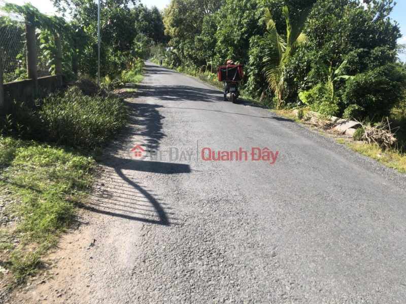 BEAUTIFUL LOCATION - GOOD PRICE - Land Lot For Sale In Cai Be District - Tien Giang Sales Listings