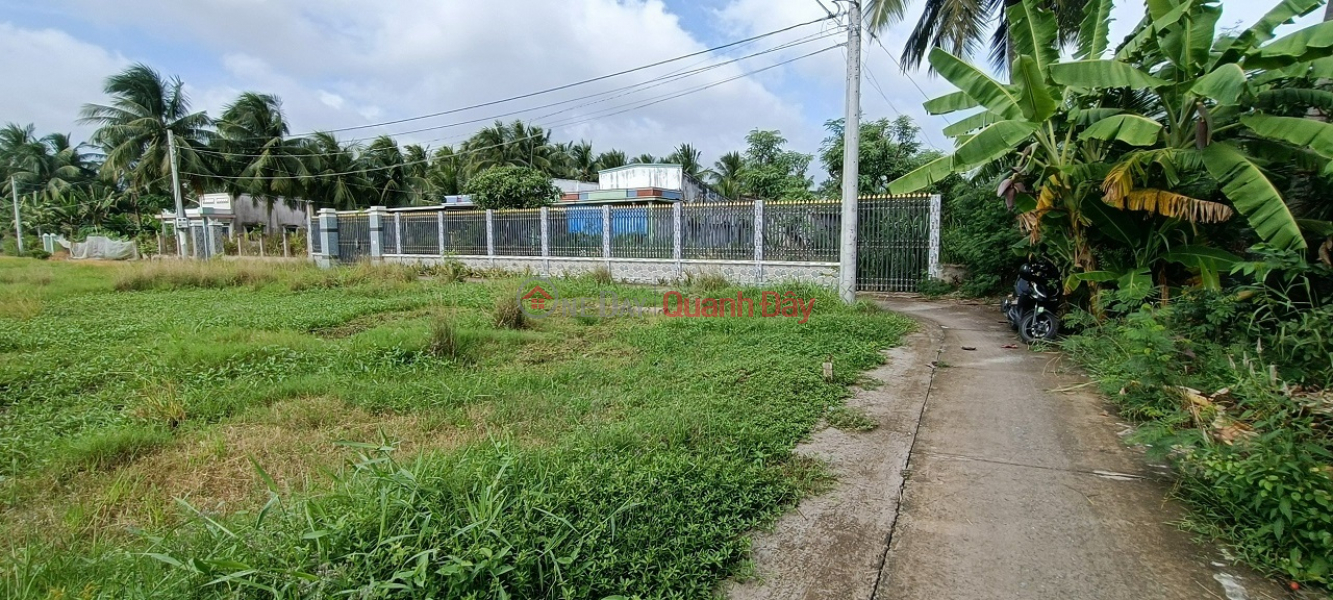 đ 590 Million | FOR SALE 2 Beautiful Land Lots In Long Chanh Commune - Go Cong Town - Tien Giang