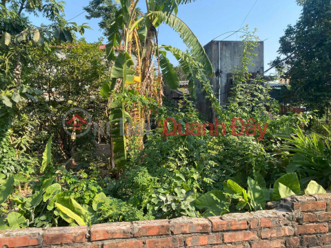 BÁN 55 m2 ĐẤT GIAO TẤT – THUẬN AN (GIA LÂM),GIÁ CHỈ 3.05 TỶ, LH 0985865658 _0