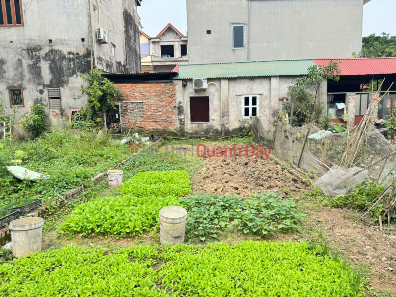 Bán gấp lô đất thôn Bạch Đa, Kim Hoa, Mê Linh, HN. Đất vuông vắn, không lỗi, ô tô đỗ Việt Nam | Bán, đ 2,18 tỷ