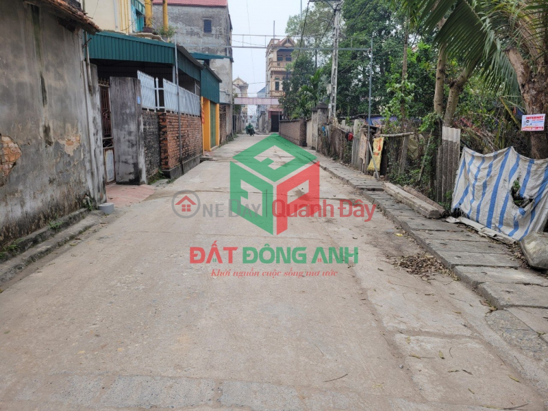 Property Search Vietnam | OneDay | Nhà ở | Niêm yết bán Bán đất thôn Đồng, Nguyên Khê - 58m - Đường thông - Xe tải tới đất