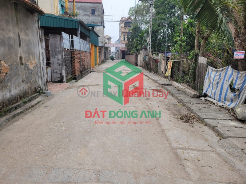 Property Search Vietnam | OneDay | Residential | Sales Listings Land for sale in Dong village, Nguyen Khe - 58m - Clear road - Truck to land