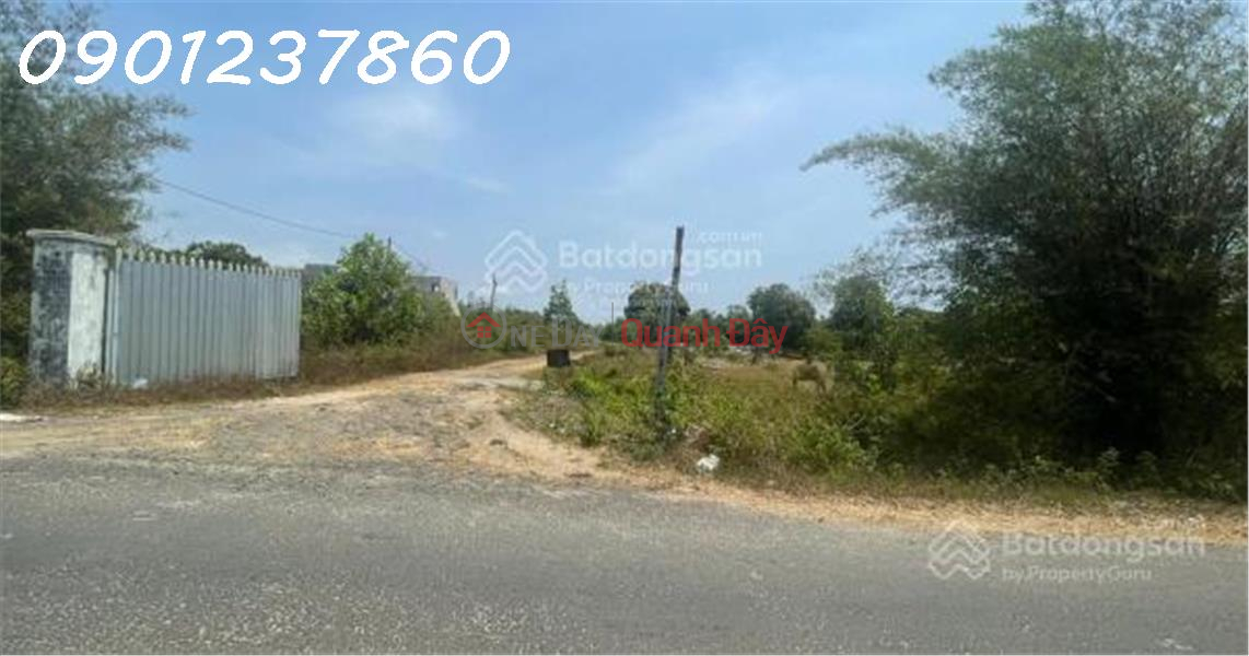 1.3-hectare plot of land in Binh Chau, priced at 45 billion VND, poised to benefit from the coastal road and Long Thanh airport development. Sales Listings