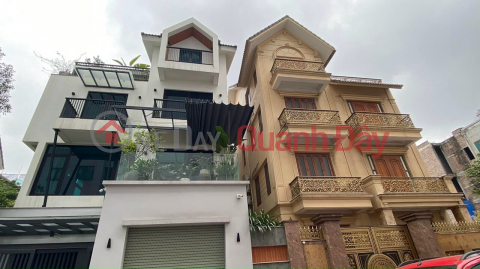Me Tri Thuong residential area villa with car lift 108m2 4 floors mt9 only 19 billion VND _0