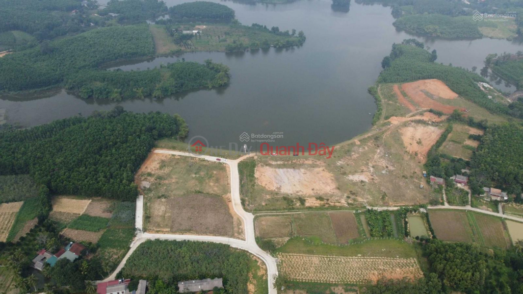 OWNER NEEDS TO SELL LOT OF Land, Subdivided Lot, Tho Son Commune, Trieu Son, Thanh Hoa Sales Listings