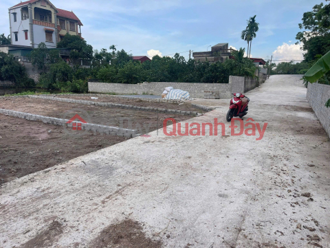 Residential land for sale in Trac Van, Duy Tien, Ha Nam, area 61m2, frontage 5.5m, road 38, price 1.6 billion, red book. _0