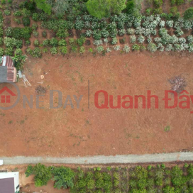 Urgent sale of full residential land plot near Bien Ho area in Pleiku _0