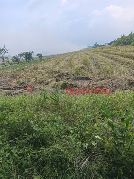  Please Select | Residential | Sales Listings | đ 600 Million