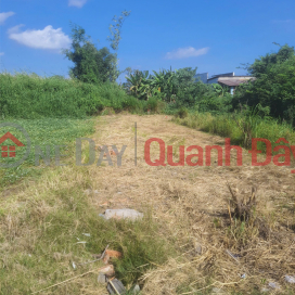 HOT DEAL! PRIME LAND FOR SALE - OWNER NEEDS TO SELL LAND in Hung Long Commune, Binh Chanh District, Ho Chi Minh City _0