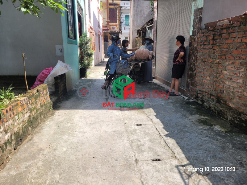 Property Search Vietnam | OneDay | Residential, Sales Listings Land for sale in Le Phap, Tien Duong, Dong Anh - 62m - Car access to land - Close to main axis