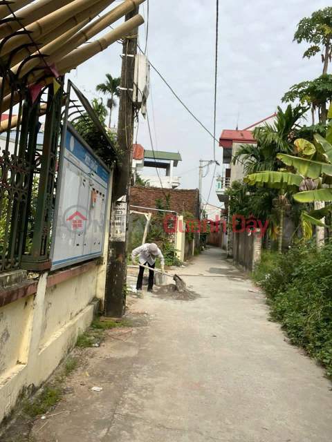 OWNER SELLS BEAUTIFUL LAND LOT - GOOD PRICE - Prime Location At Tran Phu Village, Dan Hoa Commune, Thanh Oai District, Hanoi City _0