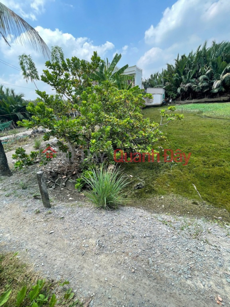 ĐẤT ĐẸP - GIÁ TỐT - Bán GẤP Lô Đất Tiềm Năng Tại Xã Phước Lộc, Nhà Bè, HCM Việt Nam | Bán, đ 4,5 tỷ