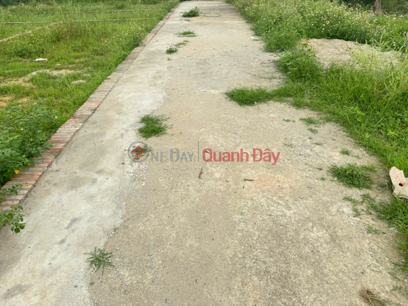 For only 2.5 billion VND, own a 54m² plot of land in Ấp Quan village - Tổ 9, Quang Minh commune, Mê Linh district. Wide road, parking available. Sales Listings