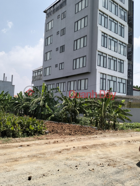 PHUC DUC - SAI SON - QUOC OAI 100m2 sidewalk subdivision, red book, owner, URGENT SALE Vietnam, Sales, đ 3.5 Billion