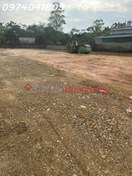 Property Search Vietnam | OneDay | Nhà ở | Niêm yết bán | Bán đất chính chủ gần Winstar Phú Thọ, diện tích 80,2m2, giá đầu tư
