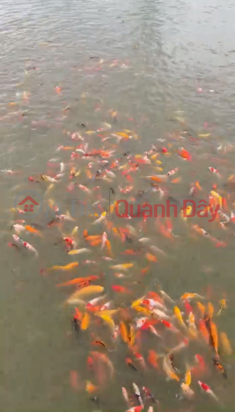 Tôi cần Bán Đất Bắc Sơn Trảng Bom Có ThểKinh Doanh Gần KCN Sông Mây Niêm yết bán