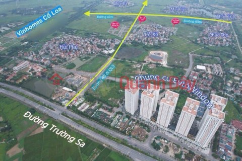 URGENT LAND FOR SALE IN PHUC THO - MAI LAM Commune - DONG ANH District - Hanoi City _0