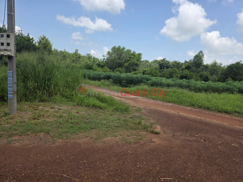 Property Search Vietnam | OneDay | Residential Sales Listings | HOT HOT - OWNER SELLING GARDEN HOUSE WITH GARDEN, ADJACENT TO PROVINCIAL ROAD 751, Minh Thanh, Ho Chi Minh City