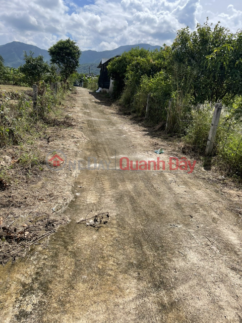 LAND LOT WITH FULL LAND AREA OF 500.6M2 - LOCATED ON 5.5M WIDE ROAD IN SUOI TIEN - DIEN KHANH! _0