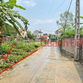 Land for sale in Thanh Lam, Me Linh. Road is clear, cars can avoid, near Me Linh fruit market. _0