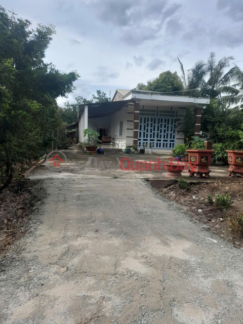 BEAUTIFUL LAND - GOOD PRICE - OWNER NEEDS TO SELL Hung Thuan, Trang Bang, Tay Ninh _0