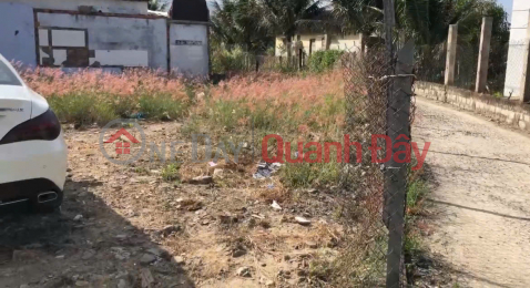 OWNER SELLING RESIDENTIAL LAND WITH READY TITLE DEED, 10M FRONTAGE IN DIEN DIEN _0