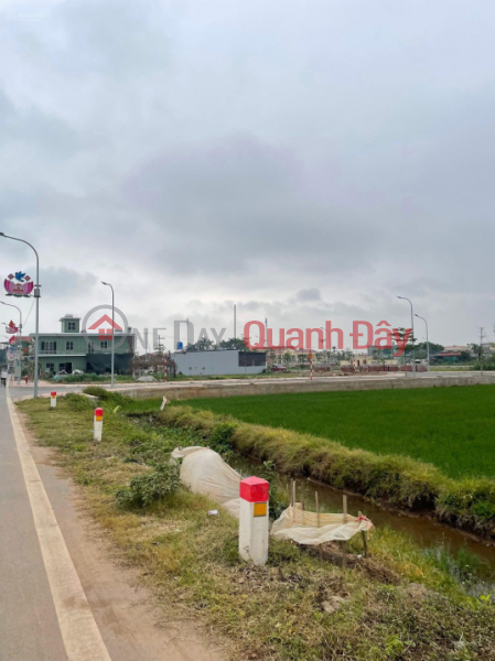 Property Search Vietnam | OneDay | Residential Sales Listings LAND FOR SALE ON THE MAIN ROAD OF QUYNH MY COMMUNE (NOW PART OF QUYNH PHU DISTRICT) - PRIME LOCATION FOR BUSINESS