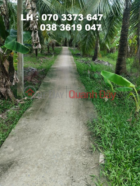 Property Search Vietnam | OneDay | Residential | Sales Listings, Owner Sells Beautiful Land Lot in Thoi Lai Commune, Binh Dai District, Ben Tre - Investment Price