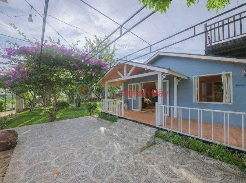 Cho thuê homestay khuôn viên 2.000m2 4 bungalow view rừng thông giá 35 triệu tại Tà Nung Đà Lạt Lâm Đồng Niêm yết cho thuê