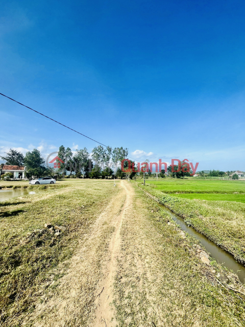 CODE 969 (NH-25): SELLING RESIDENTIAL LAND LOT IN PHUOC LAM, NINH XUAN INVESTMENT PRICE _0