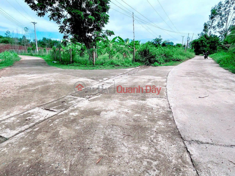 Selling 2 beautiful and cheap plots of land from only 850 million in Khanh Nam, Khanh Vinh Location:, Vietnam, Sales đ 849.5 Million