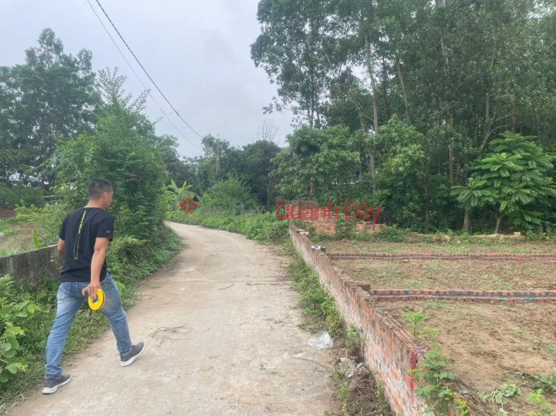 Selling 60m2 of land in Minh Tri - Soc Son, 4.5m road right in the industrial park, price 5xx million. Contact 0981568317 | Vietnam | Sales ₫ 595 Million