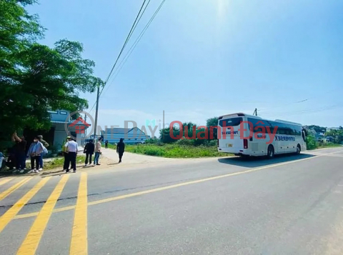 Selling Heart of Blood Lot along the Binh Thuan Coast, 29m Road, Right in a Crowded Residential Area, High Profit _0