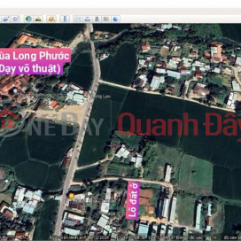 HOT HOT - OWNER URGENTLY SELLS 2 CONCUBINES OF LAND IN Phuoc Thuan Commune, Tuy Phuoc District, Binh Dinh _0