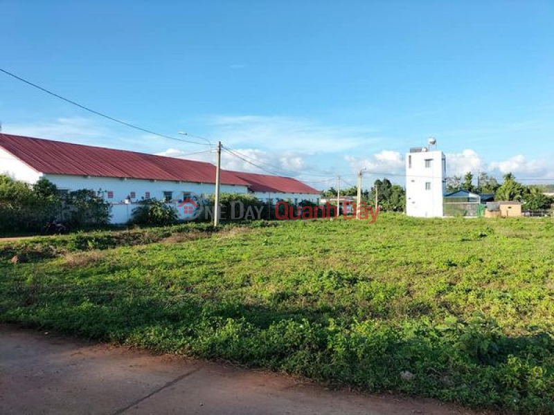 Owner Needs To Sell 3 Lots Near Primary School (National Standard) Phu Loc - Dak Lak Sales Listings