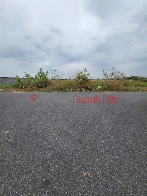 OWNER'S LAND - GOOD PRICE - Near Cafe 5 Hiep, National Highway 50, Tan Lan Commune, Can Duoc, Long An _0