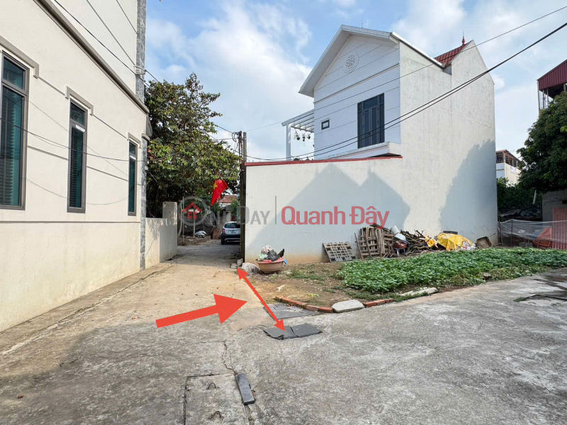 58m Trang Viet, Me Linh, Hanoi. Corner lot, two frontages, ahead of Thuong Cat bridge project | Vietnam | Sales, đ 2.3 Billion