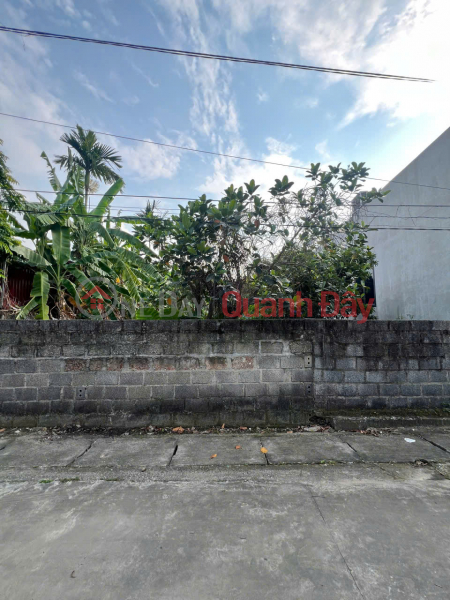Property Search Vietnam | OneDay | Nhà ở | Niêm yết bán | Chính chủ bán đất Đồng Xuân 1, Trường Thọ, An Lão - 100m2, gần đường 301, tiện ích đầy đủ