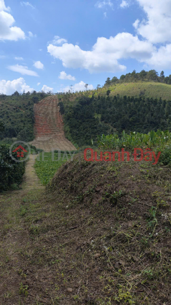 đ 9 Billion, Bán đất ở xã Phú Hội, huyện Đức Trọng, tổng diện tích 8983m2 có 400m2 thổ cư.