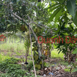ĐẦU TƯ LÀ SINH LỜI - Đất Chính Chủ Khu vực 3, Phường Hiệp Thành, TP Ngã Bảy, Hậu Giang _0