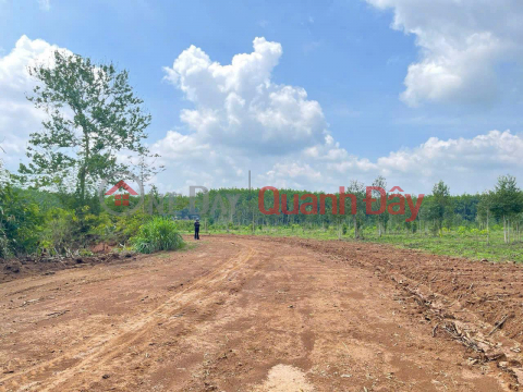 HOT HOT – OWNER NEEDS TO SELL LAND LOT in beautiful location in Dong Tien Commune, Dong Phu, Binh Phuoc _0