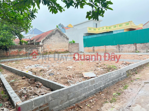 HOT - OWN A PLOT OF LAND (FO) - Prime location in Phu Trach, Thong Nhat - Price only 3x million VND per square meter _0