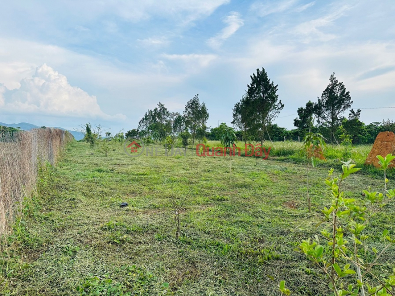 BEAUTIFUL LAND - EXTREMELY SHOCKING PRICE - LAND SELLING OWNERS IN Village 9, Loc Ngai Commune, Bao Lam, Lam Dong | Vietnam Sales, đ 879 Million