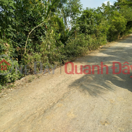 BEAUTIFUL LAND - GOOD PRICE - For Quick Sale Land Lot Prime Location In An Nong Commune, Tinh Bien Town, An Giang _0