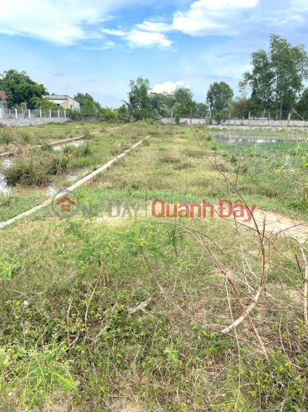 Owner Urgently Sells Residential Land In Hoa Khanh Tay Commune, Duc Hoa District, Long An | Vietnam, Sales đ 1.45 Billion