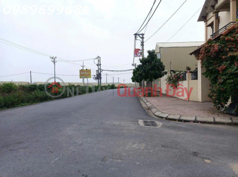 Land for sale in Dong hamlet, Nguyen Khe, Dong Anh, price 8Xtr\/m2 _0