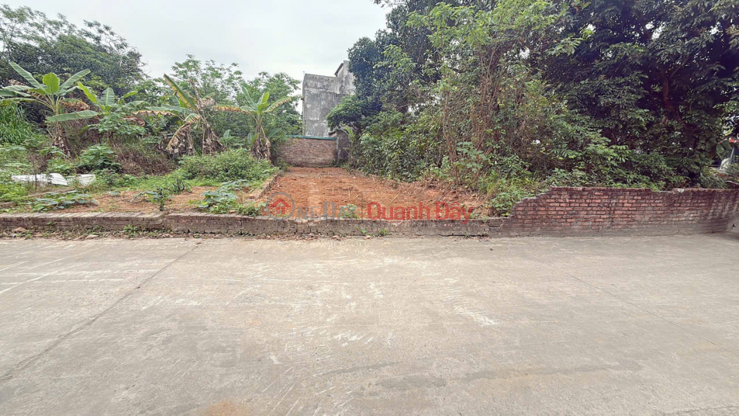 đ 2.65 Billion | PRIME LOCATION FOR BUSINESS IN XUAN DONG TAN MINH - SOC SON COMMUNE, HANOI CITY - AREA 103.8 SQM - BEAUTIFUL PLOT OF LAND