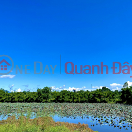 Land near Dam Sen, Dien Tien commune, 113m2, price only 520 million, book available _0